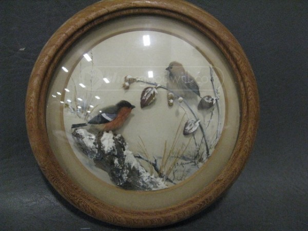 House Sparrow and Bullfinch (5-inch)